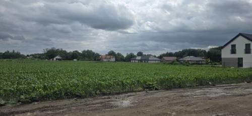 Działka budowlana na sprzedaż, 1000 m2, Rogoż