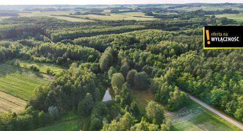 Działka ze stawem i lasem koło Solca Zdroju