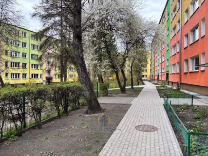 2 Pokoje, Niski Blok