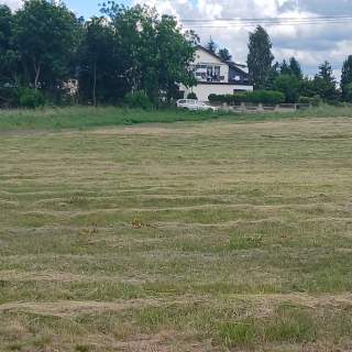 Działka z WZ 1000 m Częstochowa natura szybkie centrum