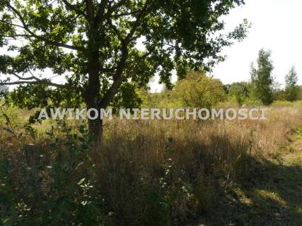 Działka budowlana na sprzedaż, 2040 m2, Skierniewice