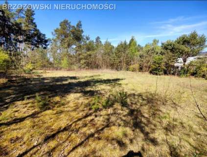Wiązowna, Zakręt, 1820 m2, WZ, jednorodzinna