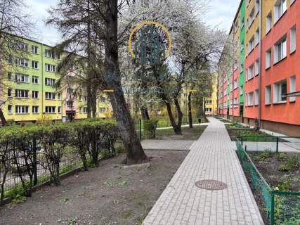 2 Pokoje, Niski Blok