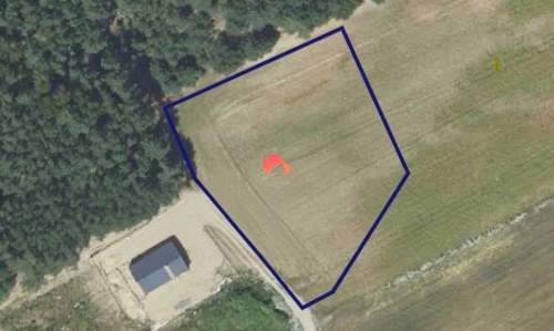 PRZY LESIE DZIAŁKA 3.000M2 STARY JASINIEC Z W.Z.