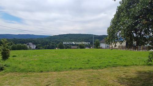 Działka inwestycyjna na sprzedaż, 11195 m2, Głogoczów