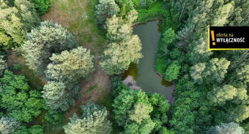 Działka ze stawem i lasem koło Solca Zdroju