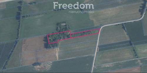 Siedlisko bez sąsiadów 0,41 ha,gm.Drelów