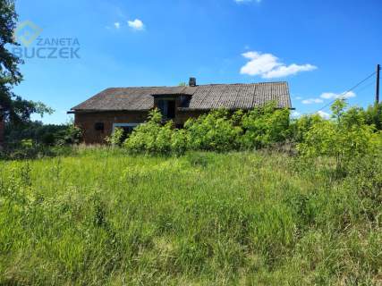 Sprzedam siedlisko w Plecewicach