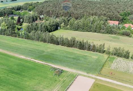 Kicin k/Poznania 3007 m idealna pod dom