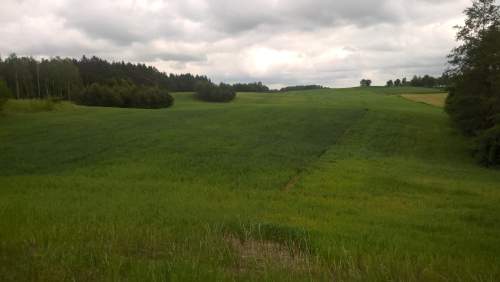 Mazury Stare Juchy działki 3000m2 w okolicach jeziora Garbas