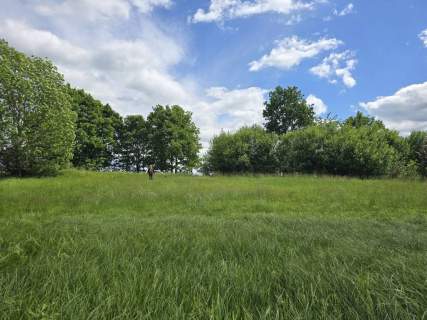 Działka siedliskowa na sprzedaż, 4800 m2, Przystawy