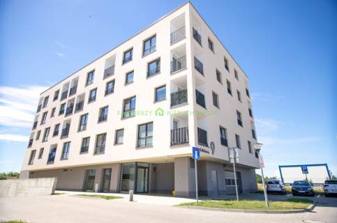 Warzymice, mieszkanie 2 pokojowe na wynajem