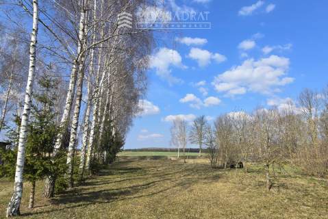 Okazja Podlasie siedlisko 2200 m2 drewniany dom,