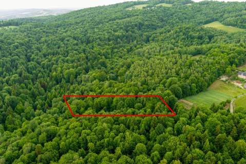 Prywatny las 41 ar Siemiechów, gm. Gromnik