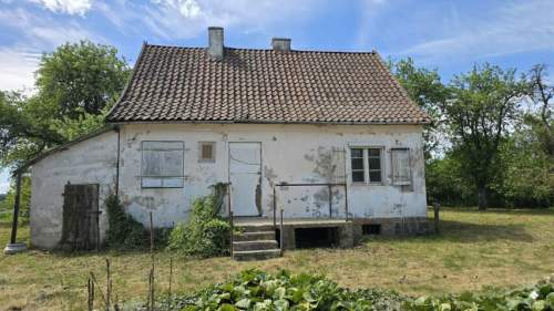 Siedlisko bez sąsiadów 4400 m2 prywatności Stary sad i wę