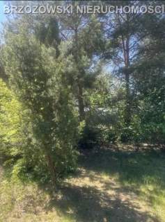 Zalesie Górne, 1860 m2, MPZP, dwulokalowy