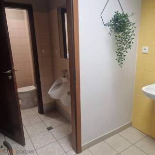 Lokal 258 m2, Wrocław, Centrum