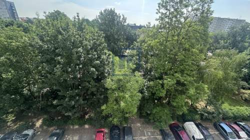 3-POKOJE PRZY PARKU POŁUDNIOWYM