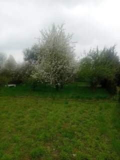 Działka rekreacyjna na sprzedaż, 480 m2, Racibórz
