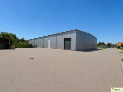 Do wynajęcia Hala z pomieszczeniami biurowymi 1600m2 400m2 w...