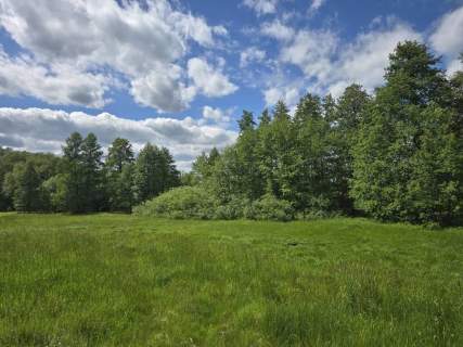 Działka siedliskowa na sprzedaż, 4800 m2, Przystawy