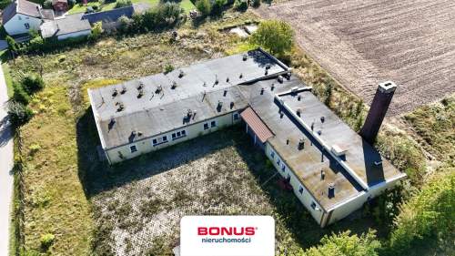 Pod działalność   5600 m gruntu i hala 960 m 