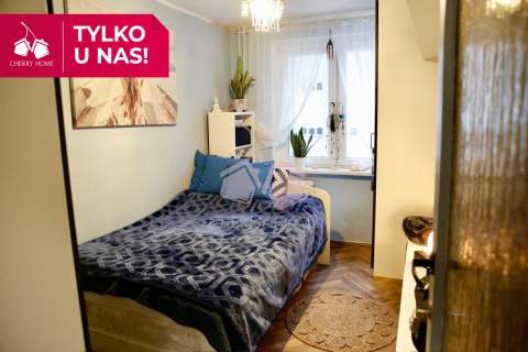 3 pokoje niski czynsz lasy blisko centrum
