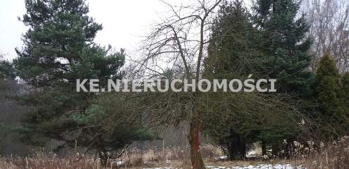 Działka rolna na sprzedaż, 5950 m2, Ruda Śląska