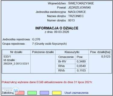 Siedlisko z domkiem i 3 ha ziemi - Trzciniec