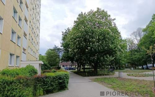 3-pokojowe mieszkanie na Włochach