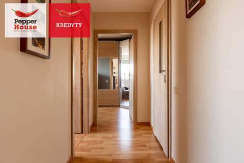 Piękny widok na zatokę i panoramę miasta