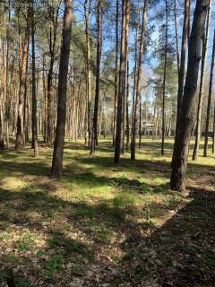 Konstancin Jeziorna, MPZP, sąsiedztwo rezydencji