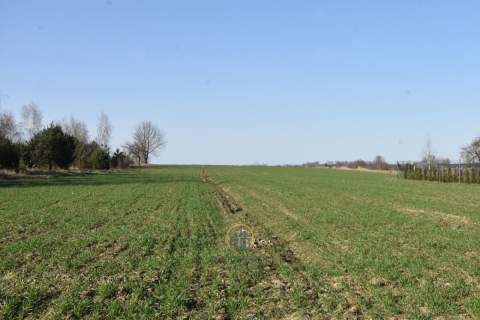 Działka przy Jeziorze Kunów