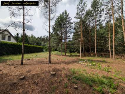 Działki nad jeziorem Spokój, natura i własność