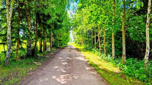 Własny koniec świata na Mazurach. 33ha w Ogródku.