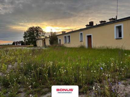 Pod działalność   5600 m gruntu i hala 960 m 