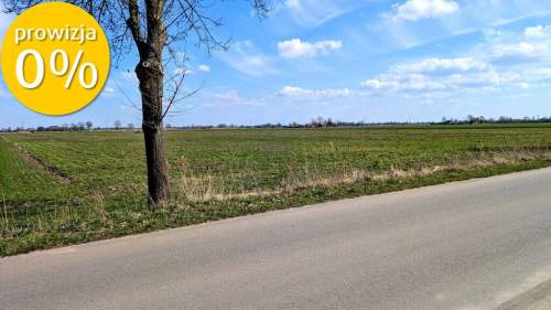 Grunt 4,49 ha z koncepcją 5 domów   Jenin - 0%