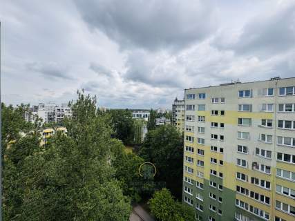 LSM z panoramicznym widokiem