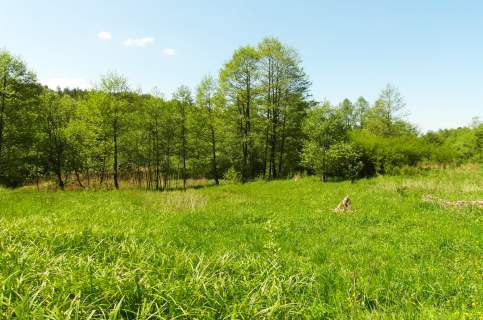 Działki 6100m2 w uroczym zakątku Bircza - las, łąka,staw