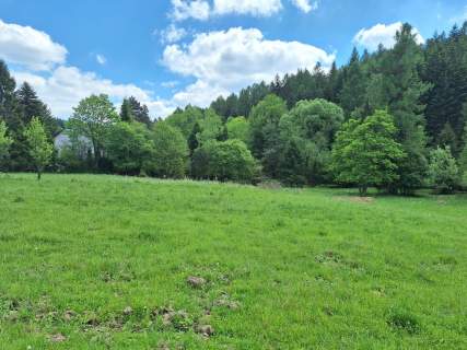 Targoszów działka 2350 m2 spokój las góry