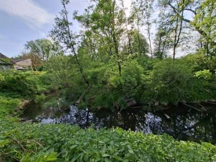 Dom 300m2 na działce 1800m2