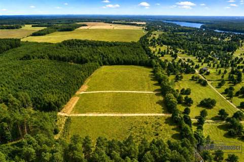 Okolica jeziora Dołgie i kompleksów leśnych.