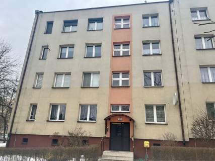 1 pok z widną kuchnią/2 pok z aneksem, piwnica 4m
