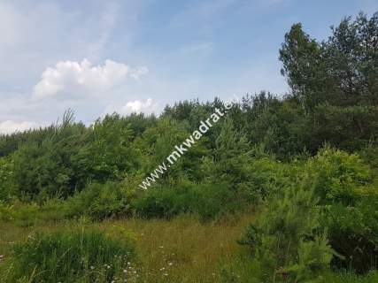  Działka 4000 m - usługowo-budowlana MPZP 