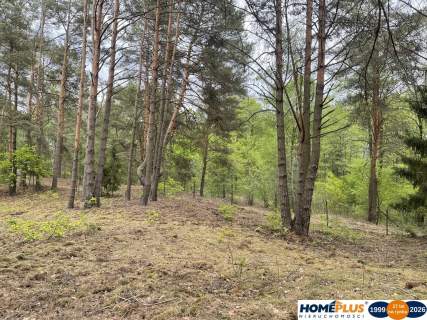Działka w lesie 2064 m - letniskowa i całoroczna