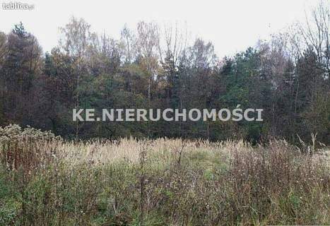 Działka rolna na sprzedaż, 5950 m2, Ruda Śląska
