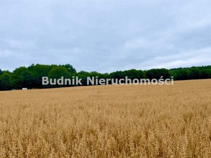 Działka rolna na sprzedaż, 3222 m2, Secymin Polski