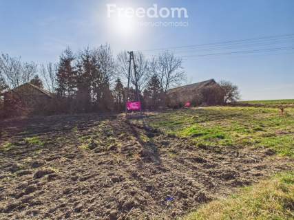 Działka 0,52 ha, gm.Borzechów