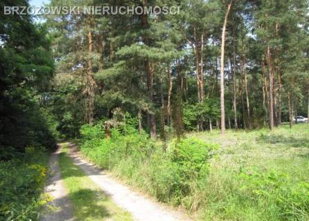 Józefów, 2400 m2, MPZP, usługowa