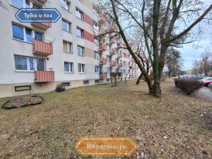 M3 na 1 piętrze/Trzech Wieszczów